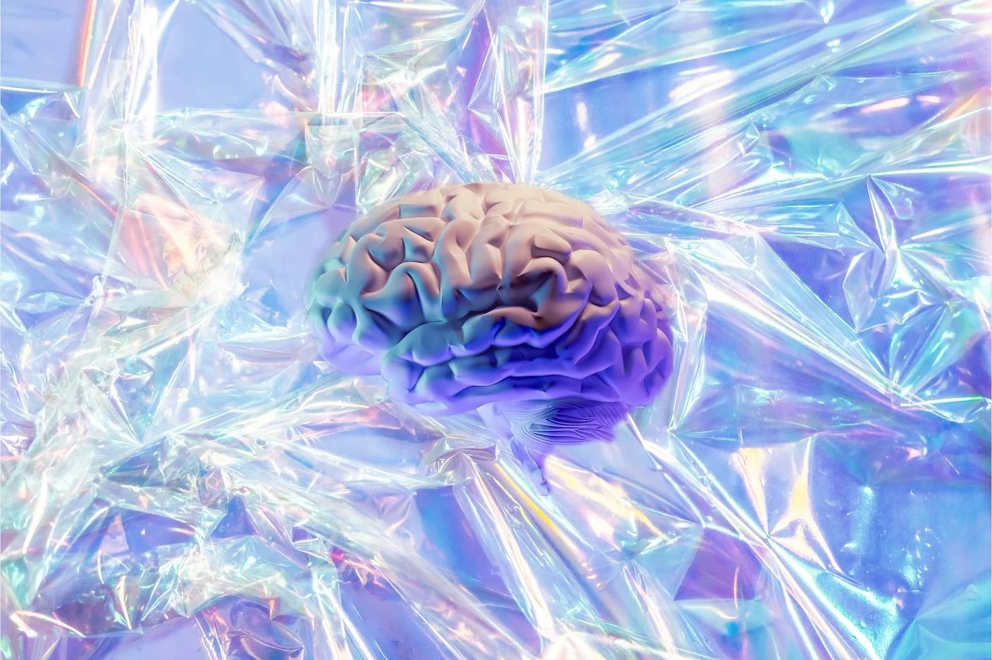 A Study in Mice Finds the Brain’s Immune Cells Gorging on Plastic A Study in Mice Finds the Brain’s Immune Cells Gorging on Plastic
