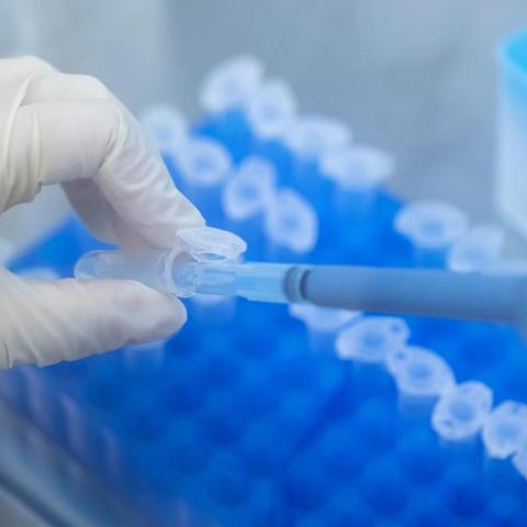 Sarepta Stands Firm: FDA Request to Halt Elevidys Shipments Rejected Sarepta Stands Firm: FDA Request to Halt Elevidys Shipments Rejected