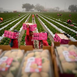 Why Grocery Prices Are skyrocketing: What Every American Needs to Know Why Grocery Prices Are skyrocketing: What Every American Needs to Know