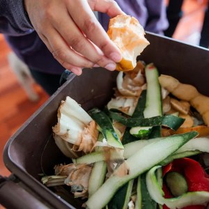 Attention Residents: Join the Movement for a Greener Future with Our New Food Waste Service! Attention Residents: Join the Movement for a Greener Future with Our New Food Waste Service!