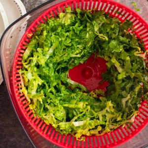 Unlocking the Secrets of Salad Spinners: Are They Essential for Your Kitchen? Unlocking the Secrets of Salad Spinners: Are They Essential for Your Kitchen?