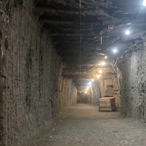 Scientists Uncover Shocking Truth: Ancient Ice-Entrapped Organisms Are Still Alive! Scientists Uncover Shocking Truth: Ancient Ice-Entrapped Organisms Are Still Alive!