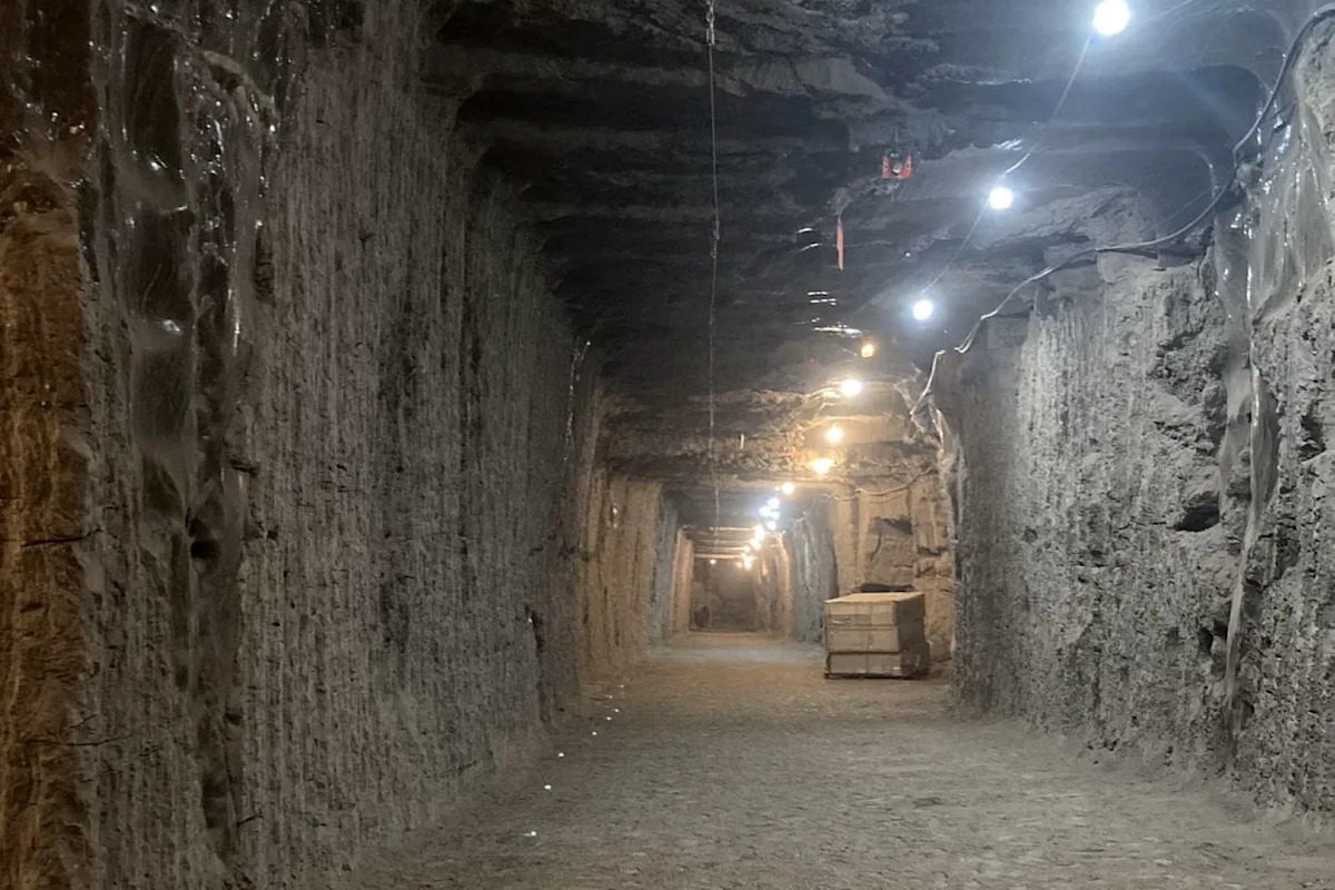 Scientists Uncover Shocking Truth: Ancient Ice-Entrapped Organisms Are Still Alive! Scientists Uncover Shocking Truth: Ancient Ice-Entrapped Organisms Are Still Alive!