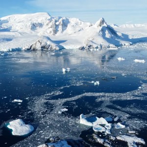 Urgent Alert from Top Scientist: Alarming Discoveries in Antarctica Leave Experts Stunned Urgent Alert from Top Scientist: Alarming Discoveries in Antarctica Leave Experts Stunned