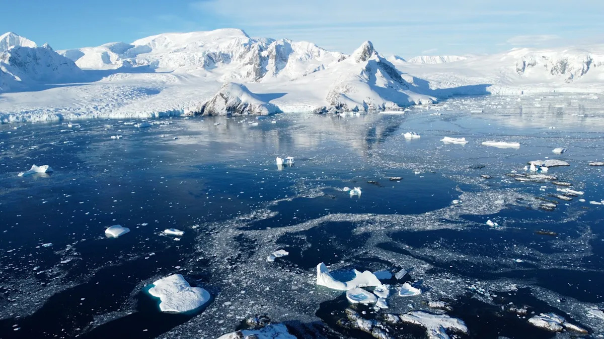 Urgent Alert from Top Scientist: Alarming Discoveries in Antarctica Leave Experts Stunned Urgent Alert from Top Scientist: Alarming Discoveries in Antarctica Leave Experts Stunned