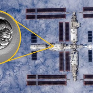 China’s Bold Space Mission: Launching ‘Human-Like Artificial Embryos’ to Explore Off-World Reproduction Possibilities China’s Bold Space Mission: Launching ‘Human-Like Artificial Embryos’ to Explore Off-World Reproduction Possibilities