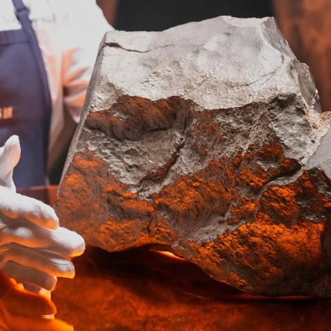 Don’t Miss Your Chance: The Largest Mars Meteorite Ever Discovered Hits the Auction Block in New York! Don’t Miss Your Chance: The Largest Mars Meteorite Ever Discovered Hits the Auction Block in New York!