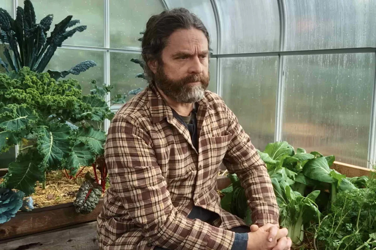 Why Zach Galifianakis Chose Small-Town Life in Canada Over Hollywood: Discover His Inspiring Journey! Why Zach Galifianakis Chose Small-Town Life in Canada Over Hollywood: Discover His Inspiring Journey!