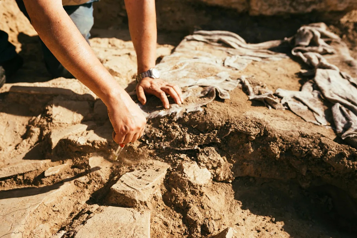 Groundbreaking Discovery: Were the Earliest Animal Remains Misinterpreted? What Scientists Found Could Change Everything! Groundbreaking Discovery: Were the Earliest Animal Remains Misinterpreted? What Scientists Found Could Change Everything!