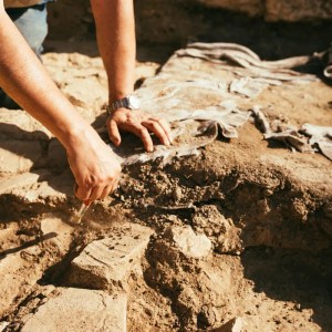 Groundbreaking Discovery: Were the Earliest Animal Remains Misinterpreted? What Scientists Found Could Change Everything! Groundbreaking Discovery: Were the Earliest Animal Remains Misinterpreted? What Scientists Found Could Change Everything!