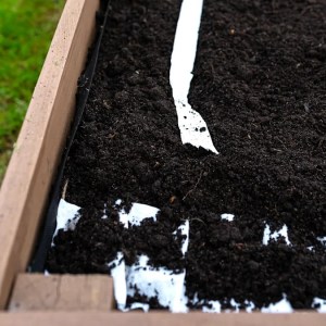 New Gardener Learns Tough Lessons: Warnings Ignite After Sharing Raised Garden Bed Photos New Gardener Learns Tough Lessons: Warnings Ignite After Sharing Raised Garden Bed Photos