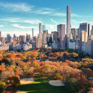 Discover NYC’s Hidden Gem: The Surprising Garden You Didn’t Know You Needed to Visit! Discover NYC’s Hidden Gem: The Surprising Garden You Didn’t Know You Needed to Visit!