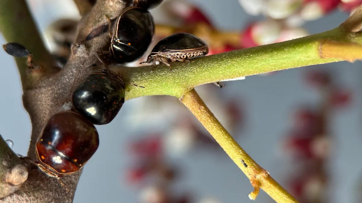 Warning: Scientists Uncover Alarming Shift in Harmful Insect Behavior—What It Means for Our Ecosystems Warning: Scientists Uncover Alarming Shift in Harmful Insect Behavior—What It Means for Our Ecosystems