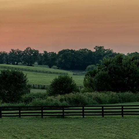 Discover the Kentucky Motel Where Comfort Food Becomes a Culinary Destination! Discover the Kentucky Motel Where Comfort Food Becomes a Culinary Destination!