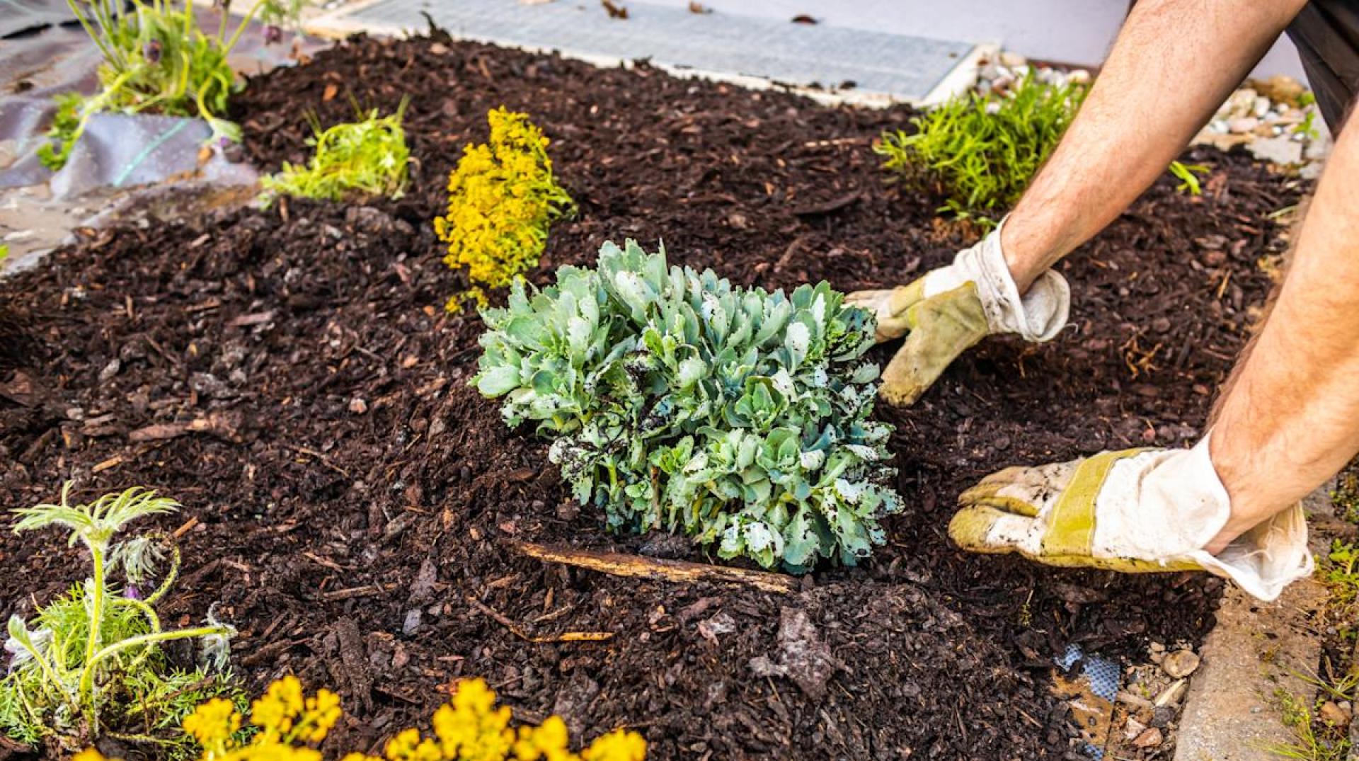 Unlock the Benefits: Layering Gravel Under Mulch for a Thriving Garden Unlock the Benefits: Layering Gravel Under Mulch for a Thriving Garden