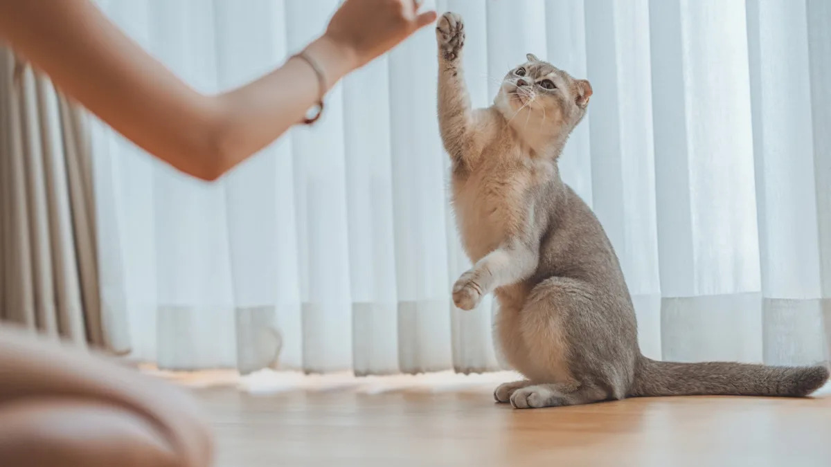 Transform Old Toilet Paper Rolls into Fun Toys: Cat Owner’s Clever Hack That Will Make Your Kitten Purr! Transform Old Toilet Paper Rolls into Fun Toys: Cat Owner’s Clever Hack That Will Make Your Kitten Purr!