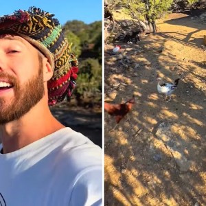 Discover the Real Pros and Cons of Off-Grid Living: Insights from an Experienced Off-Gridder Discover the Real Pros and Cons of Off-Grid Living: Insights from an Experienced Off-Gridder