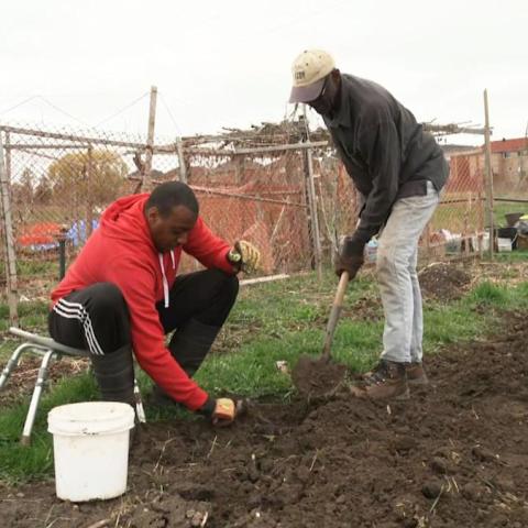 Grow Your Own Food: Scarborough Urban Farm Expands to Empower the Community Grow Your Own Food: Scarborough Urban Farm Expands to Empower the Community