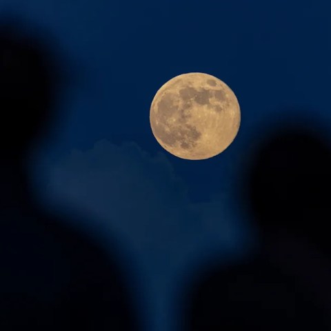 Unlock the Magic of the Beaver Moon & Taurid Meteor Shower: Your Ultimate Viewing Guide for This Week! Unlock the Magic of the Beaver Moon & Taurid Meteor Shower: Your Ultimate Viewing Guide for This Week!