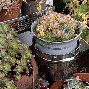 Homeowner in Shock Over Neighbor’s Dramatic Property Change: ‘I Can’t Believe They Were Offended by My Objection!’ Homeowner in Shock Over Neighbor’s Dramatic Property Change: ‘I Can’t Believe They Were Offended by My Objection!’