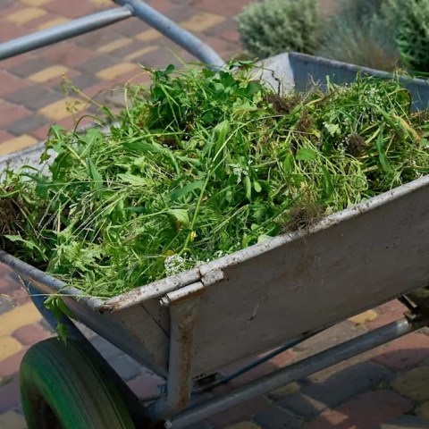 Feeling Trapped by Strict HOA Rules? One Homeowner’s Struggle and Solutions for Navigating the Challenges Feeling Trapped by Strict HOA Rules? One Homeowner’s Struggle and Solutions for Navigating the Challenges