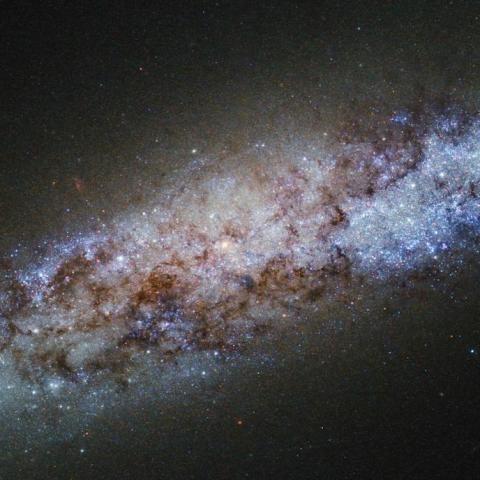 Are We Alone in the Universe? Exploring the High Probability of Extraterrestrial Civilizations Are We Alone in the Universe? Exploring the High Probability of Extraterrestrial Civilizations