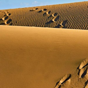 Ancient Mystery: Scientists Discover 7,000-Year-Old Mummies in the Desert with Unique DNA Traits Unrelated to Modern Humans Ancient Mystery: Scientists Discover 7,000-Year-Old Mummies in the Desert with Unique DNA Traits Unrelated to Modern Humans