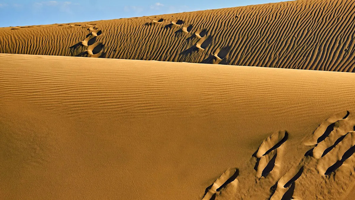 Ancient Mystery: Scientists Discover 7,000-Year-Old Mummies in the Desert with Unique DNA Traits Unrelated to Modern Humans Ancient Mystery: Scientists Discover 7,000-Year-Old Mummies in the Desert with Unique DNA Traits Unrelated to Modern Humans