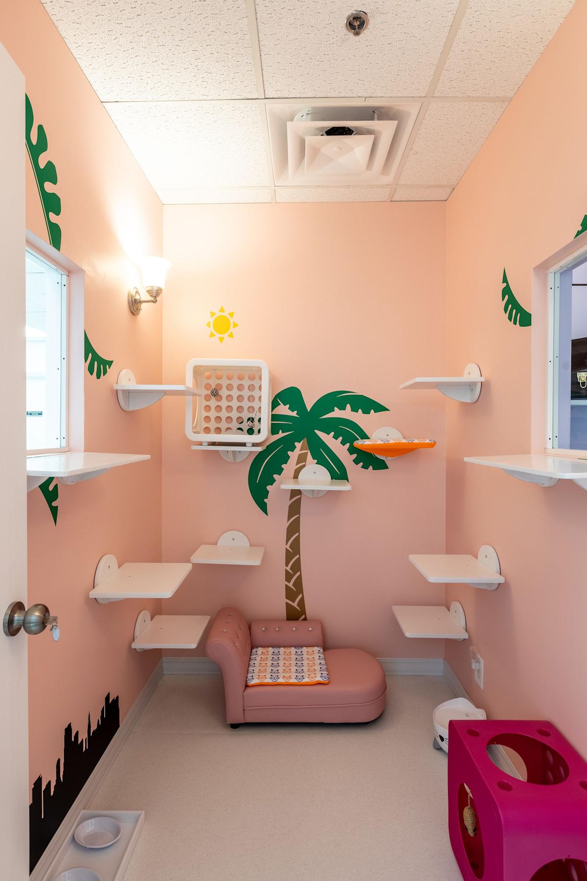 Experience Luxury Pet Boarding in South Jersey at Happy Cat Hotel & Spa: Discover Why Your Feline Friend Deserves the Best! Experience Luxury Pet Boarding in South Jersey at Happy Cat Hotel & Spa: Discover Why Your Feline Friend Deserves the Best!