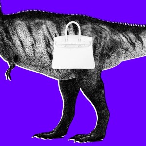 Why Scientists Think This 0,000 Lab-Grown ‘T-Rex Leather’ Handbag is Ridiculously Overpriced Why Scientists Think This 0,000 Lab-Grown ‘T-Rex Leather’ Handbag is Ridiculously Overpriced