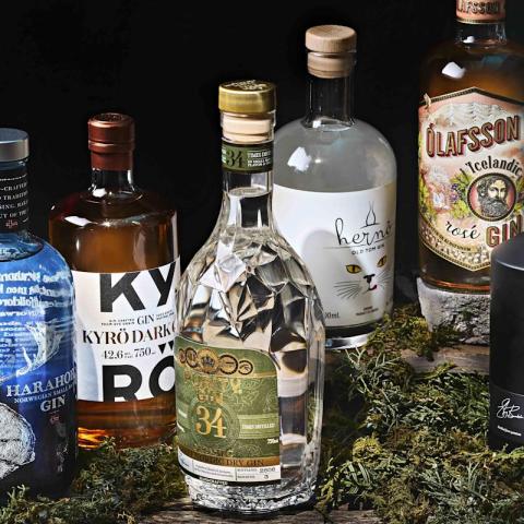 Discover Why Nordic Gins Are the Hottest Trend in Spirits Today! Discover Why Nordic Gins Are the Hottest Trend in Spirits Today!
