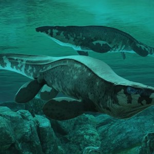 “Meet the New T. rex: A Massive Sea Ruler That Will Change Everything You Thought You Knew!” “Meet the New T. rex: A Massive Sea Ruler That Will Change Everything You Thought You Knew!”