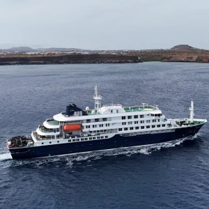 Rising Hantavirus Cases: What You Need to Know About the 5 New Confirmed Infections from a Dutch Cruise Ship, According to WHO Rising Hantavirus Cases: What You Need to Know About the 5 New Confirmed Infections from a Dutch Cruise Ship, According to WHO