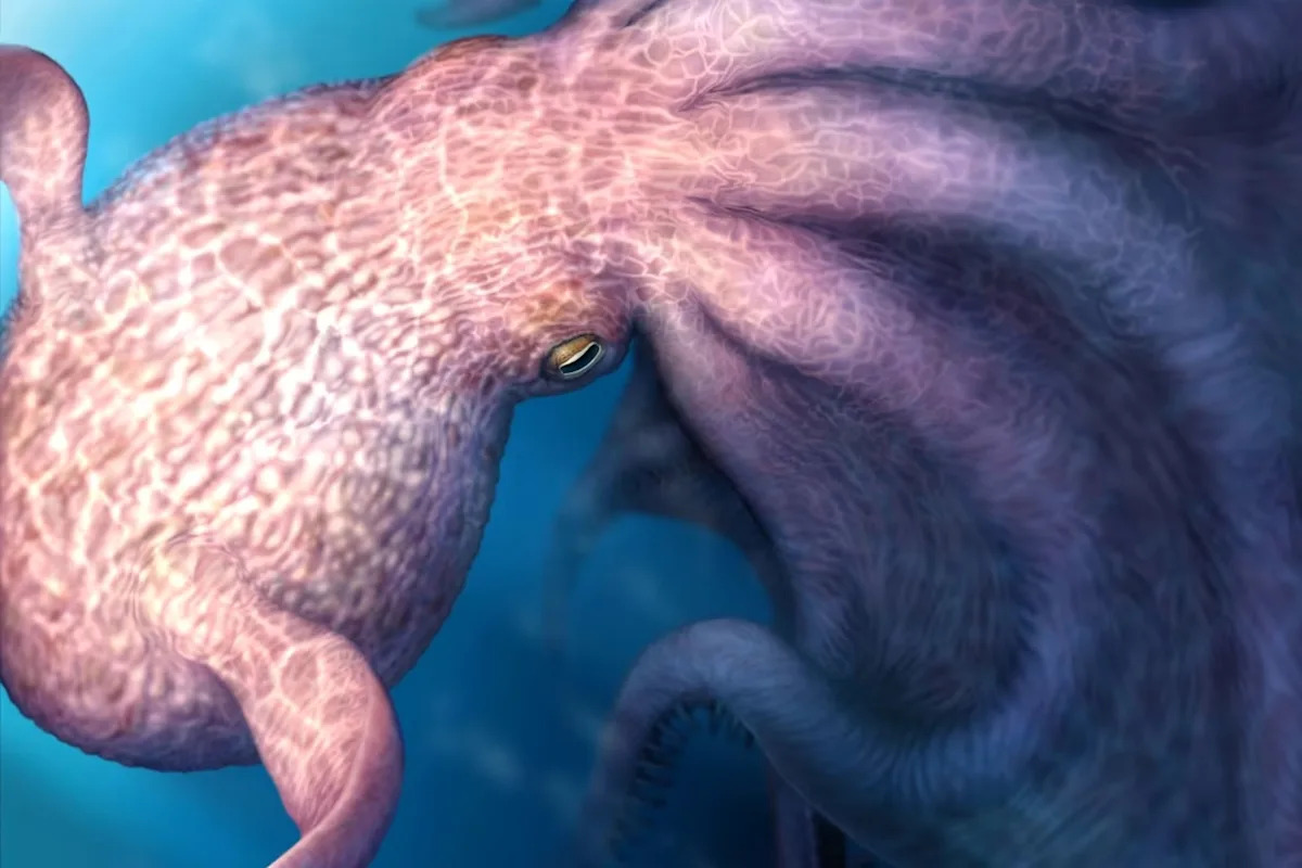 Unveiling the Depths: Researchers Discover a 60-Foot Kraken-Like Octopus – What It Means for Marine Life! Unveiling the Depths: Researchers Discover a 60-Foot Kraken-Like Octopus – What It Means for Marine Life!