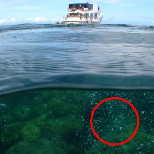 Urgent Alert: Massive Bubble Formation Near Underwater Volcano Raises Concerns for Australia Urgent Alert: Massive Bubble Formation Near Underwater Volcano Raises Concerns for Australia