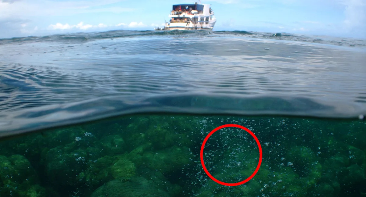 Urgent Alert: Massive Bubble Formation Near Underwater Volcano Raises Concerns for Australia Urgent Alert: Massive Bubble Formation Near Underwater Volcano Raises Concerns for Australia