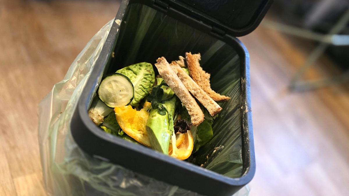 Why Your Council Advises Against Using New Food Bins for Now: What You Need to Know Why Your Council Advises Against Using New Food Bins for Now: What You Need to Know
