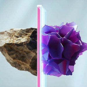 Unveiling a Paradox in Evolution: A Game-Changer in Biological Science? Unveiling a Paradox in Evolution: A Game-Changer in Biological Science?