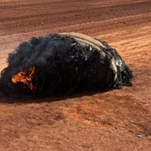 Unveiling the Mystery: Experts Explore the Origins of the Fiery ‘Smoking Slab’ Discovered in the Desert Unveiling the Mystery: Experts Explore the Origins of the Fiery ‘Smoking Slab’ Discovered in the Desert
