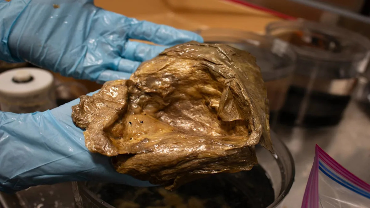 Unveiling the Mystery: The Golden Orb Discovered at the Ocean’s Depths in 2023 Revealed! Unveiling the Mystery: The Golden Orb Discovered at the Ocean’s Depths in 2023 Revealed!