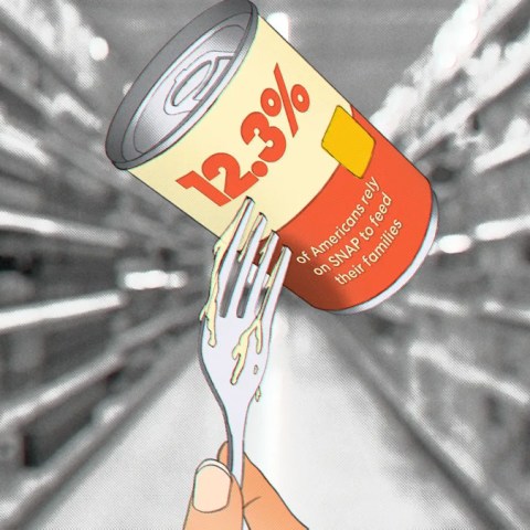 Insights from 5 SNAP Recipients: What Works and What Doesn’t in the Food Assistance Program Insights from 5 SNAP Recipients: What Works and What Doesn’t in the Food Assistance Program
