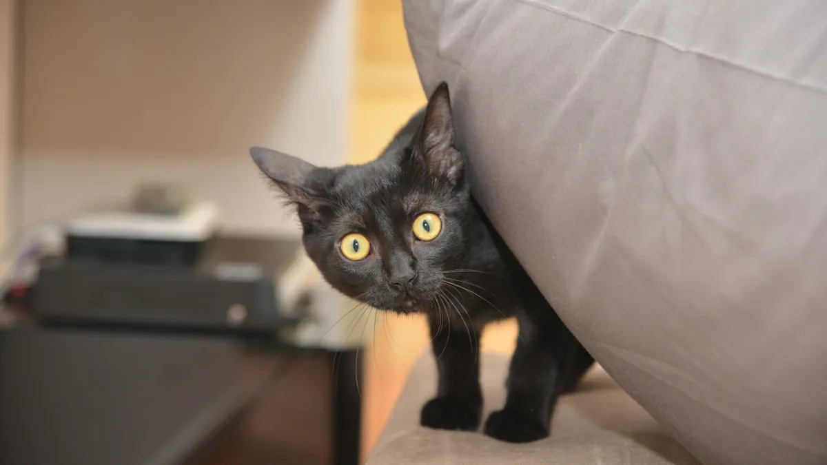 Hilarious Reactions: Watch Adorable Kitties Get Confused by Shower Steam! Hilarious Reactions: Watch Adorable Kitties Get Confused by Shower Steam!