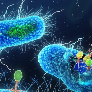 Scientists Discover Rapid Evolution in Space: Could These Entities Hold the Key to Saving Lives? Scientists Discover Rapid Evolution in Space: Could These Entities Hold the Key to Saving Lives?