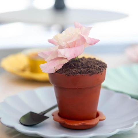 Discover the CT Pastry Chef Whose Irresistible Treats and ‘Best Drink Ever’ Are Luring Customers from All Over! Discover the CT Pastry Chef Whose Irresistible Treats and ‘Best Drink Ever’ Are Luring Customers from All Over!