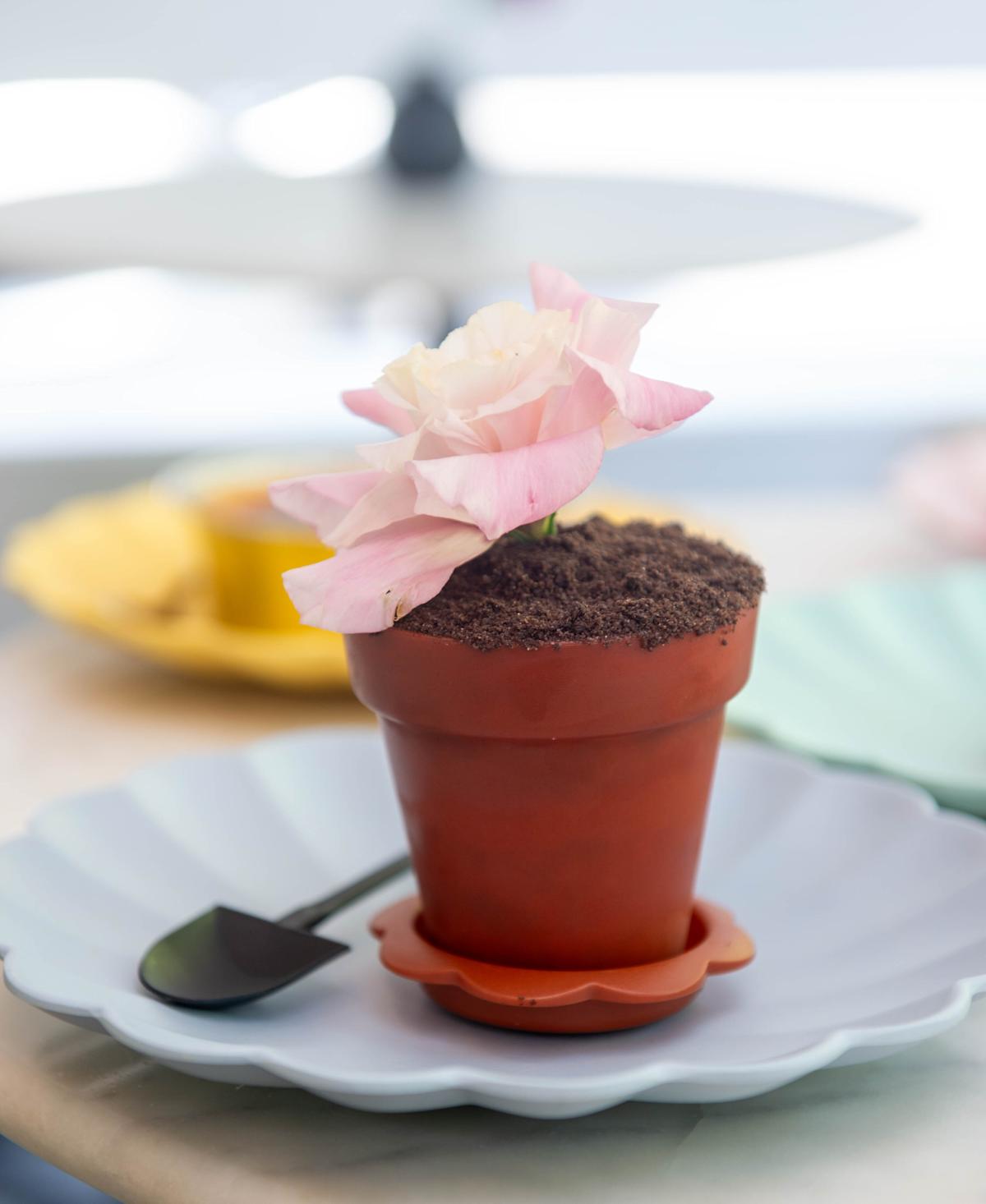 Discover the CT Pastry Chef Whose Irresistible Treats and ‘Best Drink Ever’ Are Luring Customers from All Over! Discover the CT Pastry Chef Whose Irresistible Treats and ‘Best Drink Ever’ Are Luring Customers from All Over!