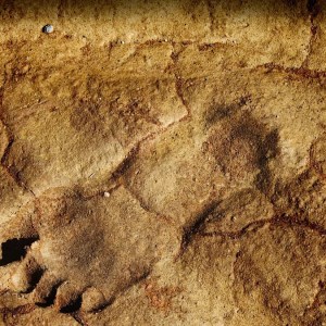 Discovering 23,000-Year-Old Footprints: A Groundbreaking Find That Changes Our Understanding of Human History in America Discovering 23,000-Year-Old Footprints: A Groundbreaking Find That Changes Our Understanding of Human History in America