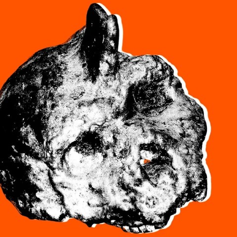 Unveiling Mysteries: Scientists Discover Non-Human Skull Embedded in Ancient Cave Wall Unveiling Mysteries: Scientists Discover Non-Human Skull Embedded in Ancient Cave Wall