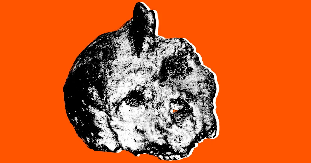 Unveiling Mysteries: Scientists Discover Non-Human Skull Embedded in Ancient Cave Wall Unveiling Mysteries: Scientists Discover Non-Human Skull Embedded in Ancient Cave Wall