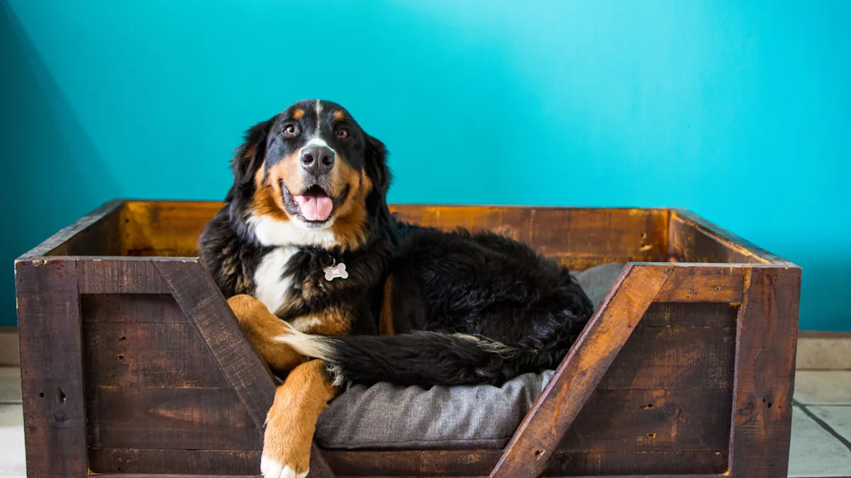 Heartwarming or Hilarious? Bernese Mountain Dog’s Reaction to Mom’s ‘Fruit Fetch’ Prank Takes TikTok by Storm! Heartwarming or Hilarious? Bernese Mountain Dog’s Reaction to Mom’s ‘Fruit Fetch’ Prank Takes TikTok by Storm!