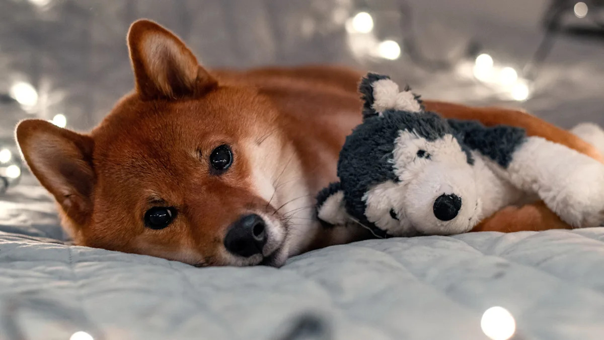 Missing Your Dog While Clubbing? You’re Not Alone—This Heartwarming Story Will Resonate! Missing Your Dog While Clubbing? You’re Not Alone—This Heartwarming Story Will Resonate!